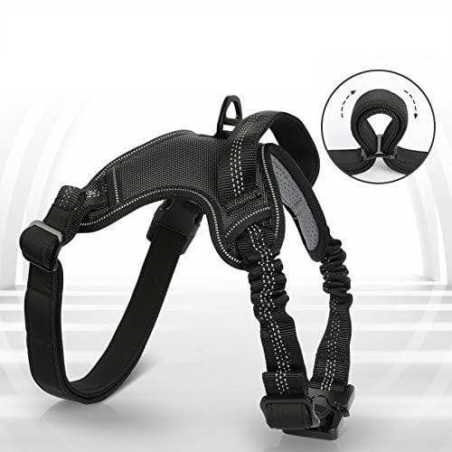 Padded & Shock-Absorbing Dog Halter Harness Leash Collar Shock Bungee Straps